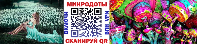 kraken ССЫЛКА  Лагань  Псилоцибиновые грибы ЛСД 